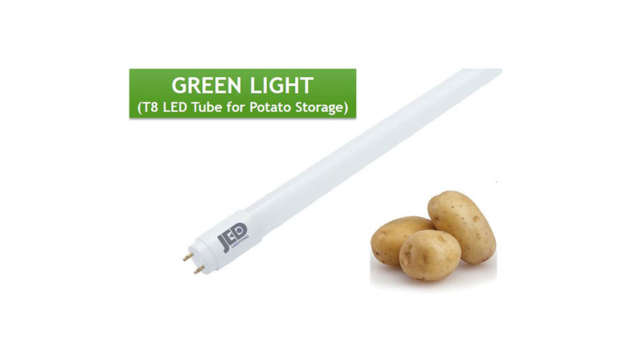 Lighting Product Image